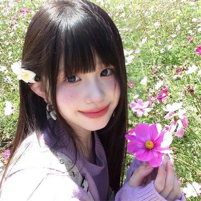 雏菊